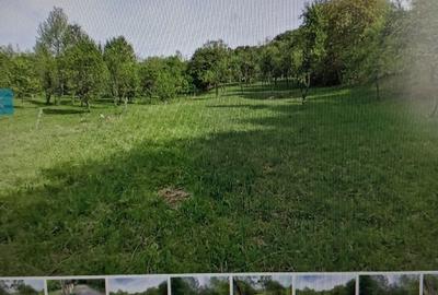Teren Construcții extravilan de 4300 mp, în Brădetu - 2