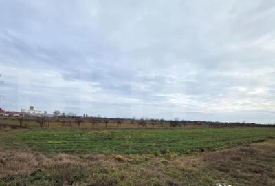 Teren în Cloșca - 1