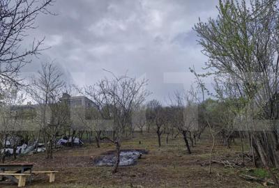 Teren intravilan Viisoara cu panorama asupra orasului- parce - 4