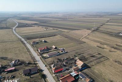 Casă cu 4 camere cu Teren 1527 Mp în Brateș - 7