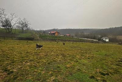 Teren de 1998 mp, în Central