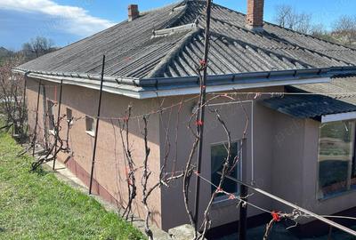 Casă cu 3 camere în Hălăucești - 5