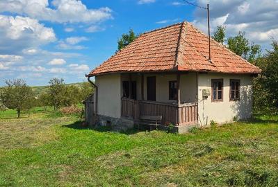 Gradina de vanzare - 8