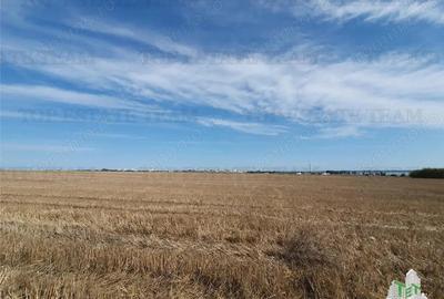 Teren Techirghiol - 4