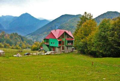 Casă cu 4 camere în Lepșa - 4