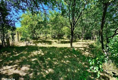 Casă cu 4 camere în Central - 1