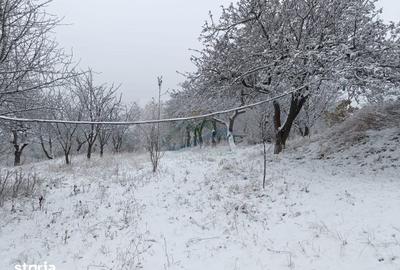 Casă cu 4 camere cu Teren 4863 Mp în Coșna - 3