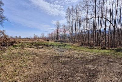 Comision 0 %/ Teren extravilan 3197 mp pitoresc/ Fagaras - 1