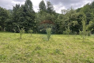 Teren de 1350 mp, în Gârcina - 3