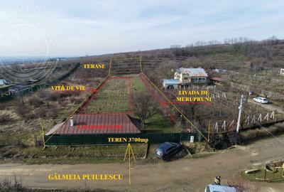 Spațiu comercial, în Gâlmeia - 2