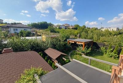 VILA CU 5 CAMERE, 150 MP UTILI, BECI, GARAJ, 717 MP TEREN, VISAN-BUCIUM - 21