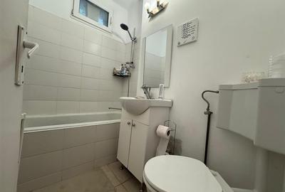 Vanzare 2 camere Domenii Ion Mihalache  | etaj 2 | - 10