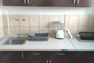 Apartament 1 camera Vlaicu - 2