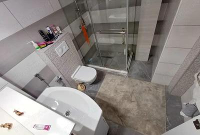 Inchiriere garsoniera Aviatiei - 2