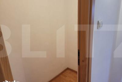 Apartament cu 4 camere în Micălaca - 4
