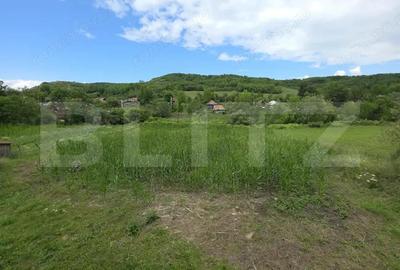 Casa la tara de vanzare, cu 13 ari de teren, la 40 km de Bistri?a - 17