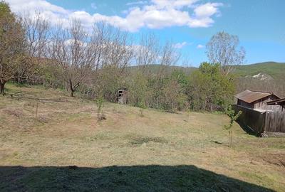 Casă cu 3 camere cu Teren 1860 Mp în Voluntari - 2