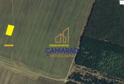 Teren de vanzare de 800 mp - Schitu (Costinesti) - 2