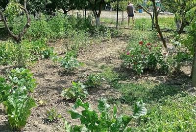 Casă cu 3 camere în Central - 7