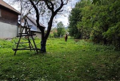 Spațiu comercial, în Teșila - 2