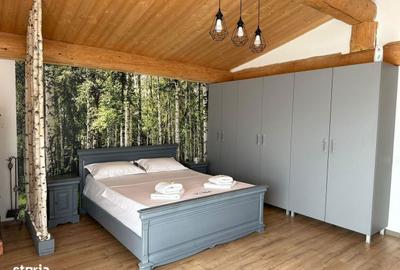 Spațiu comercial, de 25,000 mp, în Hărman - 14