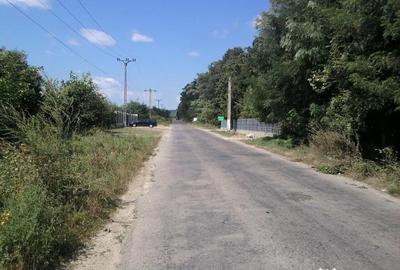 Teren de 572 mp, în Băicoi - 4