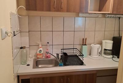 Garsonieră de închiriat – B-dul Take Ionescu – Etaj 1/10, mobilată și utilată - 8