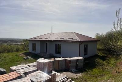 TAUTII DE SUS, casa pe 1 nivel 150mp -semifinisata, 5ari teren ! - 11