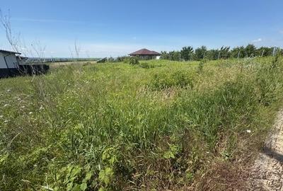 Teren Construcții intravilan de 5000 mp, în Valea Lupului - 3