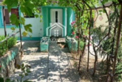 Casă cu Teren 500 Mp în Dorobanți - 9