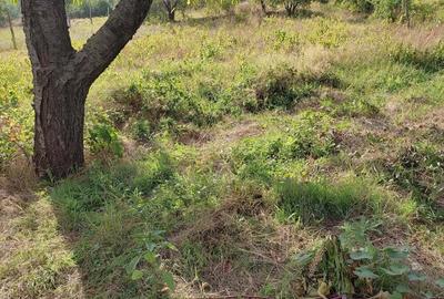 Vand casa in orasul Babadag, str. Valea Teilor, jud. Tulcea - 5