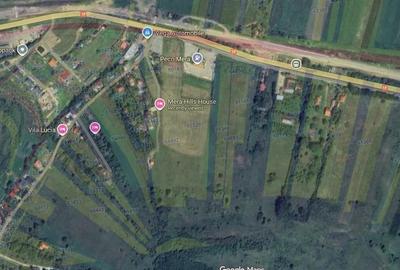 Teren Construcții intravilan de 2900 mp, în Mera - 2