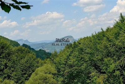 Teren montan cu priveliste si izvor - 5727mp in Buces, langa padure