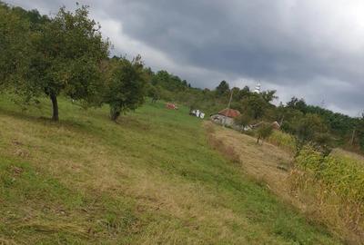 Casă cu 2 camere în Decebal - 3