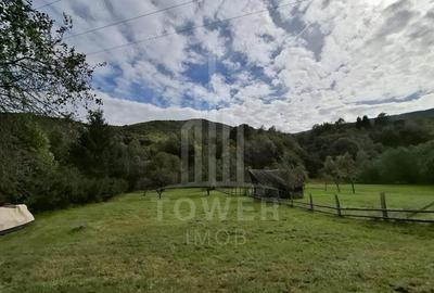 Teren de 4000 mp, în Râu Sadului - 1