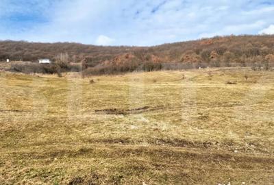 Teren în Florești - 2
