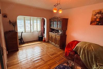 De vanzare Garsoniera ULTRA-CENTRALA in Geoagiu-Bai! - 6