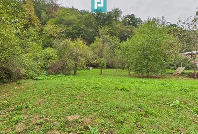 Teren de 1440mp in Lipova pentru o casa de vacan?a - 1