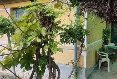 Casa de Vanzare-Printul Turcesc!!! - 2