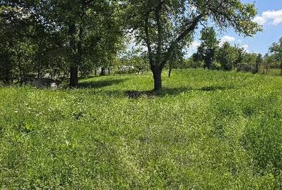 Casă în Urisiu de Sus - 4