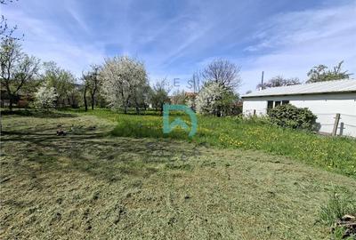 Casă cu 3 camere cu Teren 1700 Mp în Baciu - 6