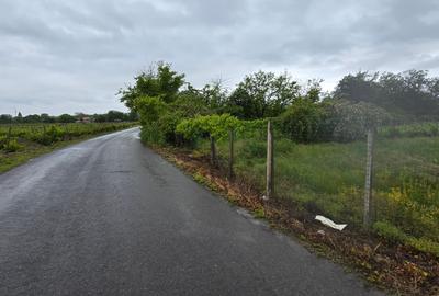 Casa si teren intravilan 4200 mp  Cotesti - 23