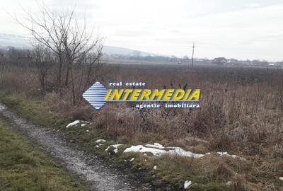 Teren Construcții extravilan de 864 mp, în Sud - 5