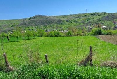 Teren de 961 mp, în Ștefănești - 2