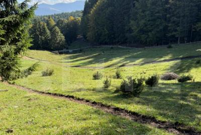 Teren intravilan 28 Ari zona Colibita - 3