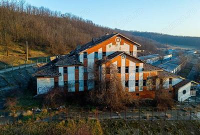 Spațiu comercial, de 50,000 mp, în Horgești - 11