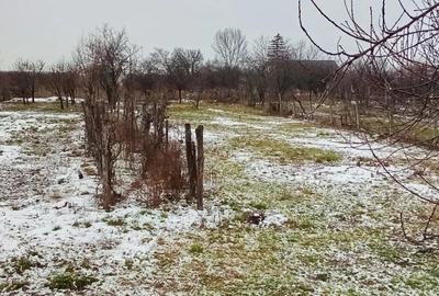 Casa de vanzare in comuna Barsa, judetul Arad - 4