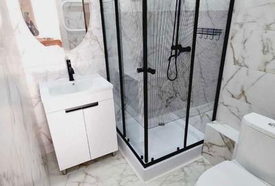 Garsonieră decomandată în Dumbrăvița - 3