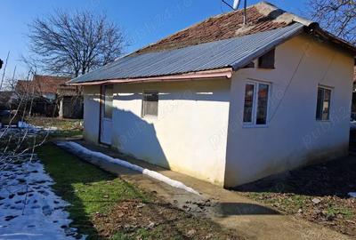 Casă în Pătulele - 3