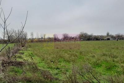 BARCANESTI -  casa +curte+teren 16k mp - 23